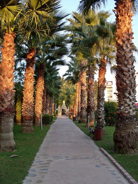 Weg zum Kinderclub Alba Resort Hotel