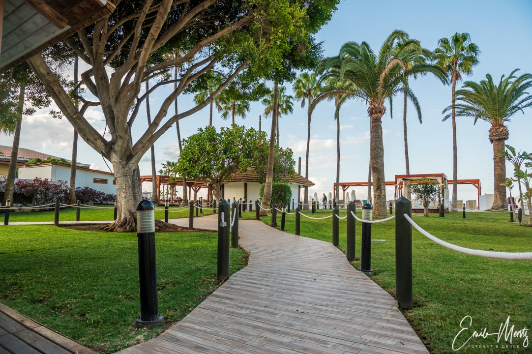 Gartenanlage Iberostar Waves Bouganville Playa