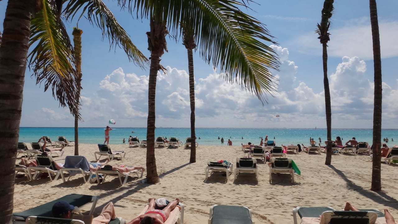 Traumhafte palmen statt sonnenschirme Hotel Riu Tequila