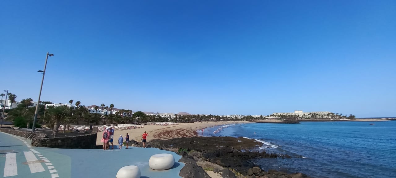 Strand allsun App.-Hotel Albatros