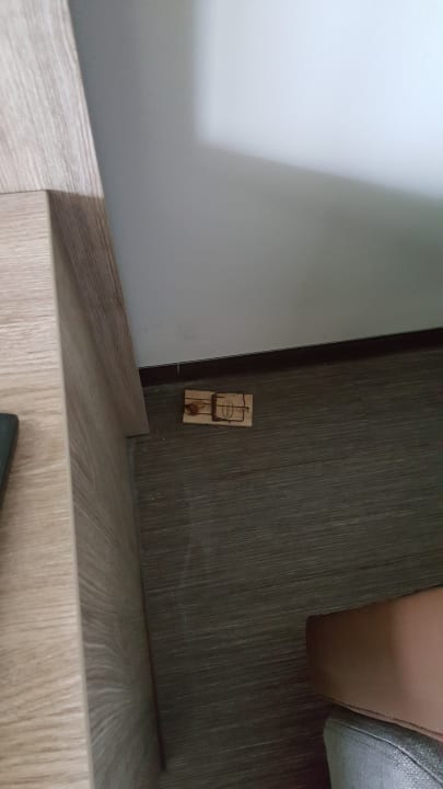 Falle unter dem Bett. Es wurde früh vorgezogen. Siebenquell® GesundZeitResort