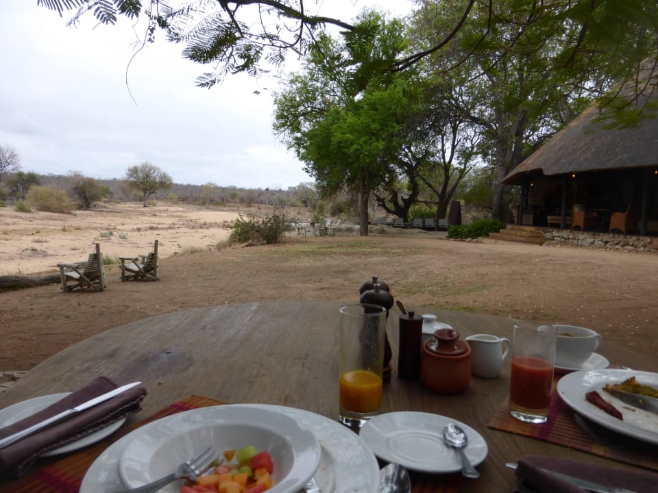 Blick vom Frühstückstisch Motswari Private Game Reserve & Geiger's Camp