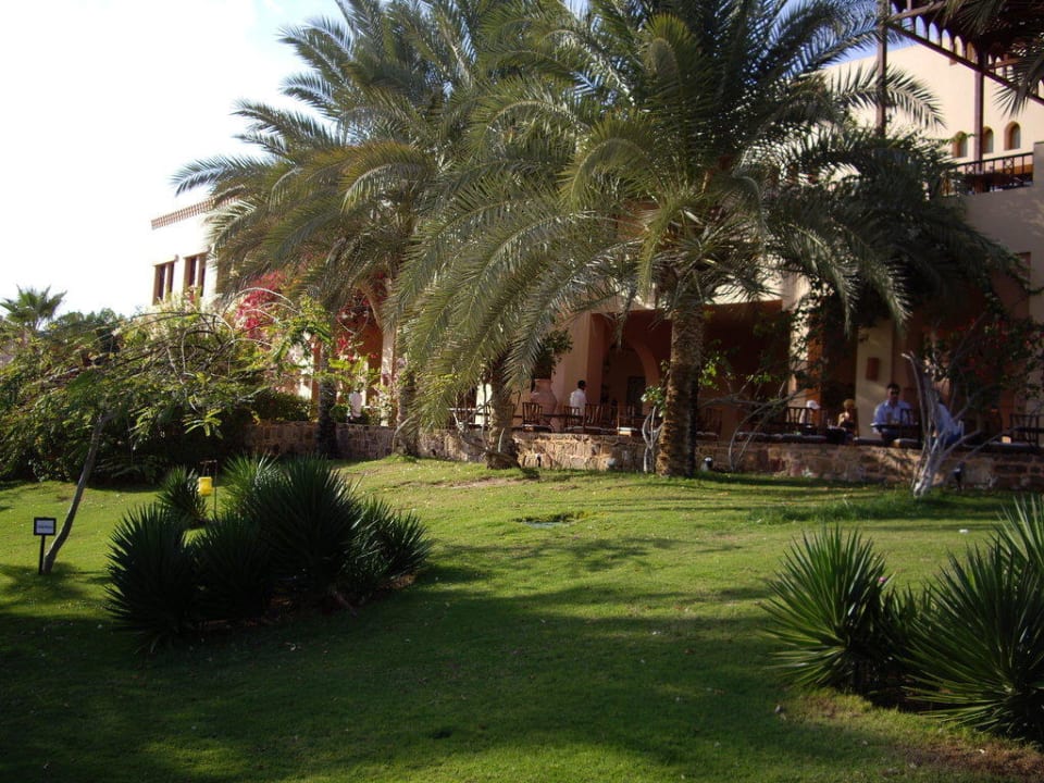 Grün in der Wüste Steigenberger Coraya Beach - Adults only