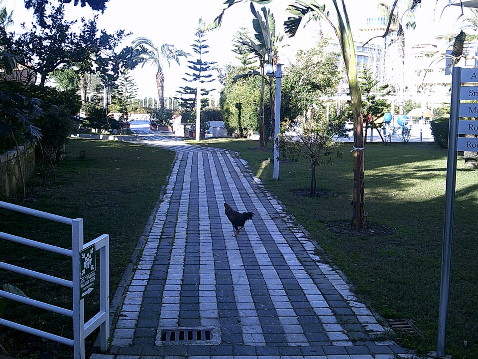 Gartenanlage Seaden Corolla Hotel