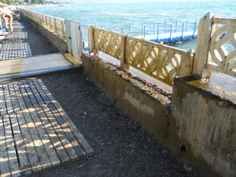 Auchhier Müll und Seegras Ephesia Holiday Beach Club