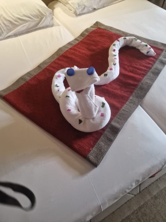 Zimmer Jaz Makadi Oasis Resort