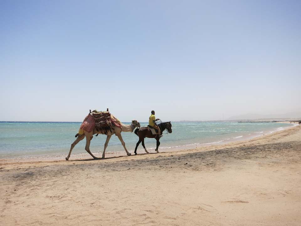 Strand Shams Prestige Abu Soma-Adults Only