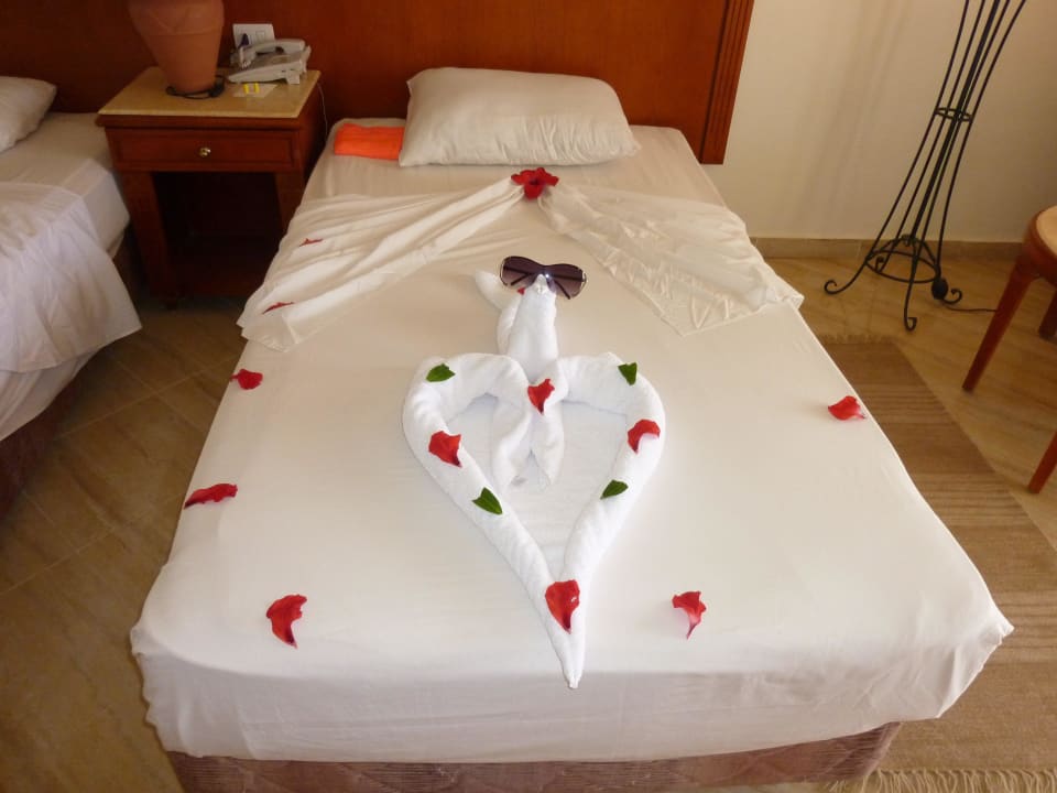 Room-Boy  Malikia Resort Abu Dabbab