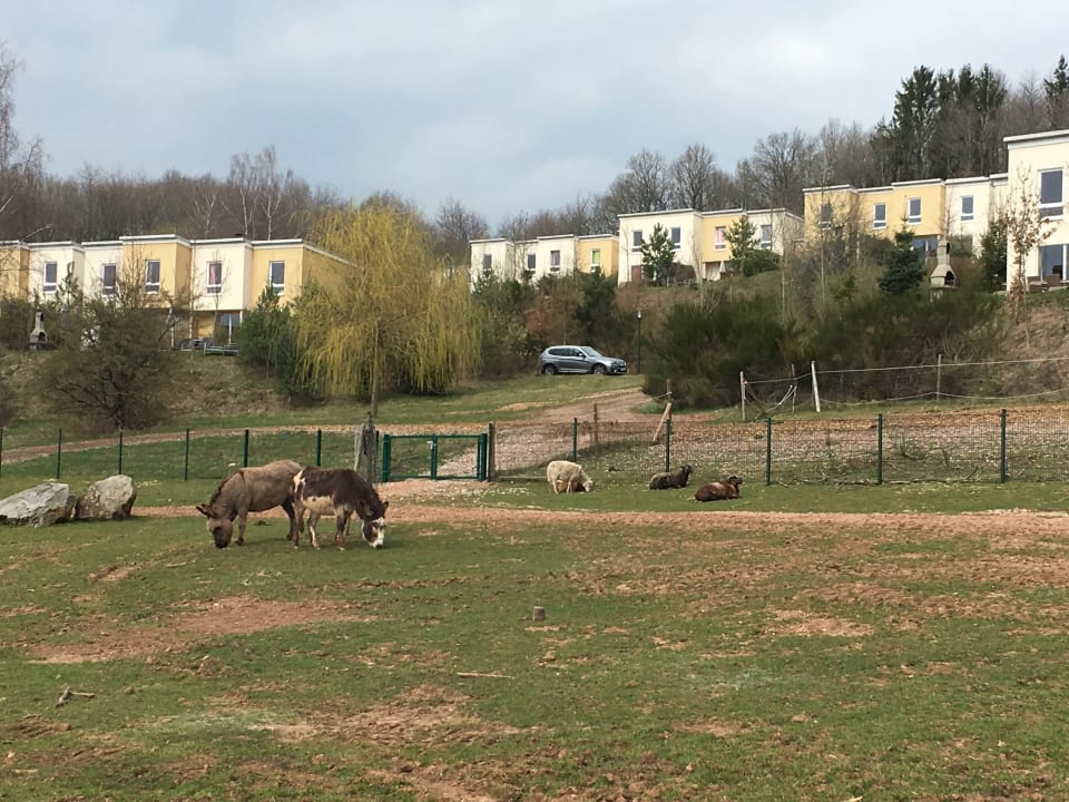 Außenansicht Center Parcs Park Bostalsee