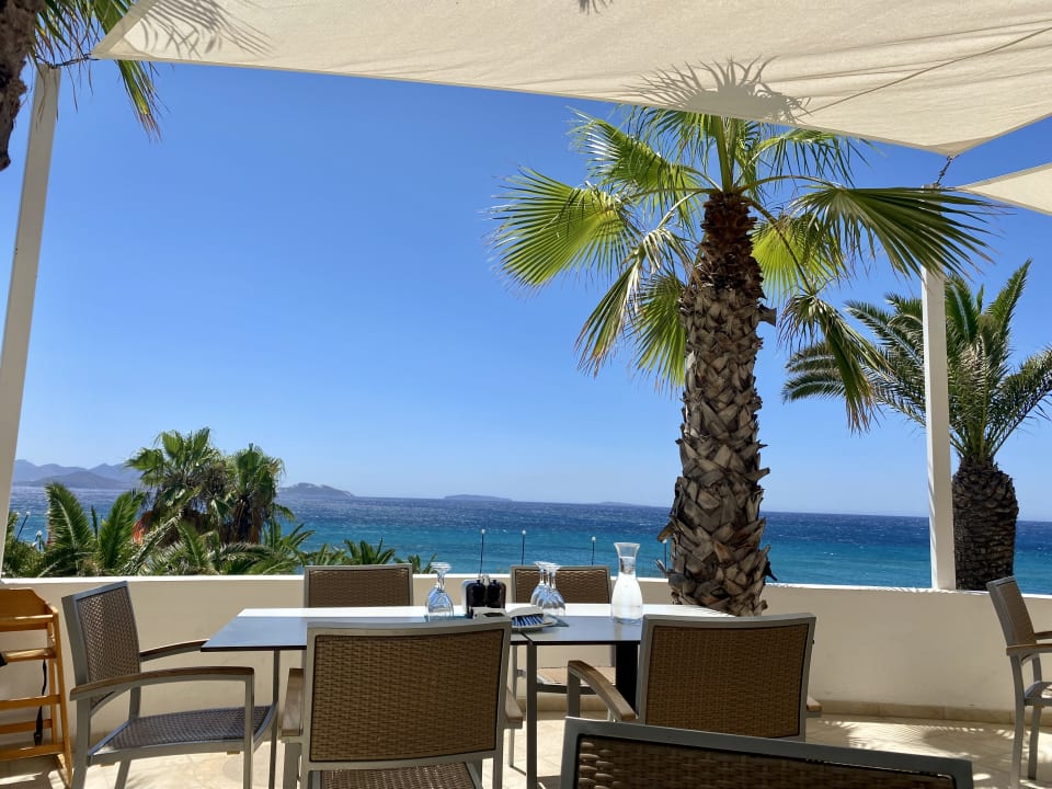 Ausblick ROBINSON DAIDALOS