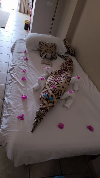 Zimmer Jaz Makadi Saraya Resort