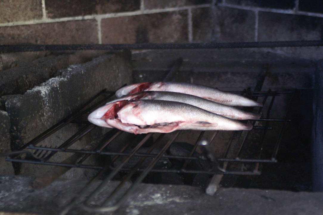 Dorade Ferienhaus A Vigia