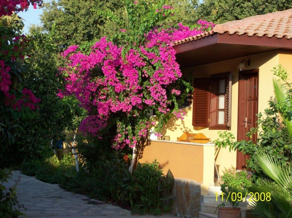 Weg zum Strand 2 Özlem Garden Hotel