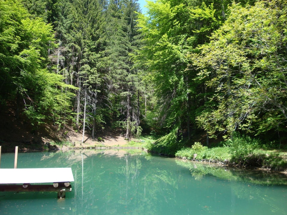Schwimmteich Biohotel Der Daberer
