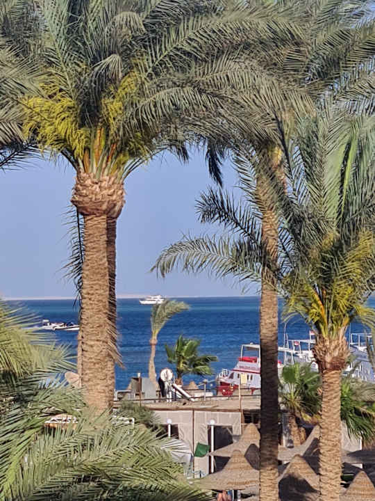 Ausblick Giftun Azur Resort