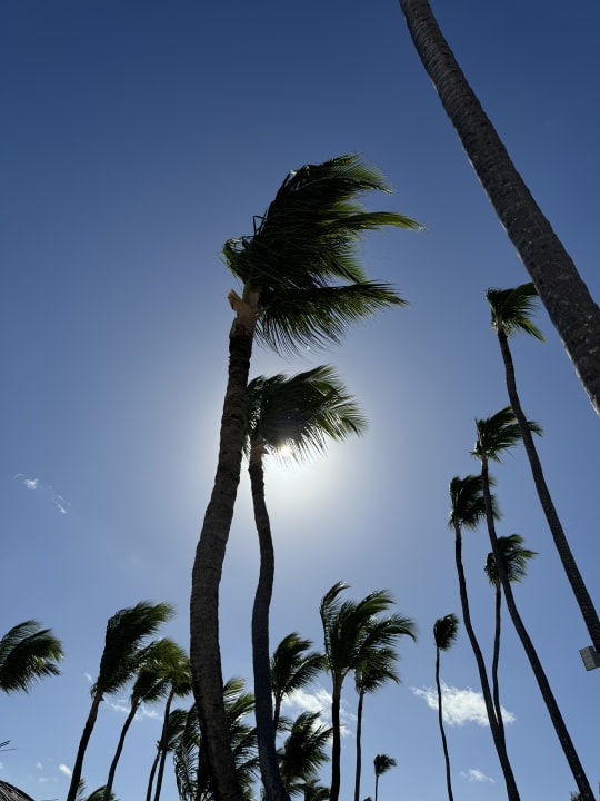 Ausblick Lopesan Costa Bávaro Resort, Spa & Casino