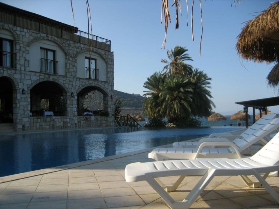 Pool Palm Area Hotel Royal Palm Beach