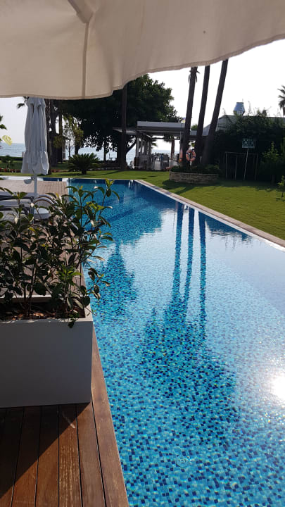 Pool Acanthus Cennet Barut Collection