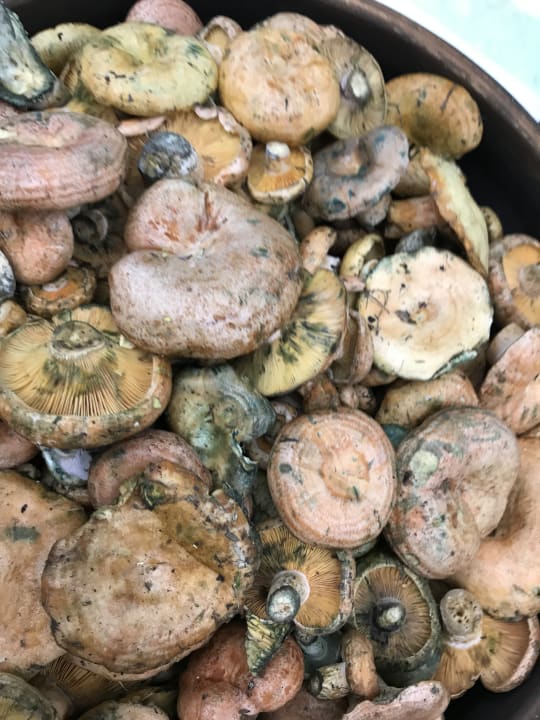 Restaurant Akra Fethiye Tui Blue Sensatori