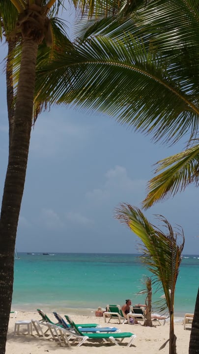 Traumstrand  Hotel Riu Bambu