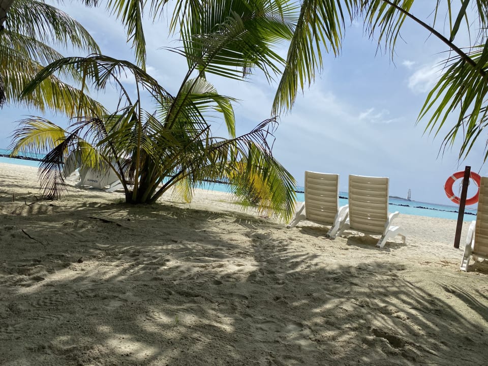 Strand Summer Island Maldives