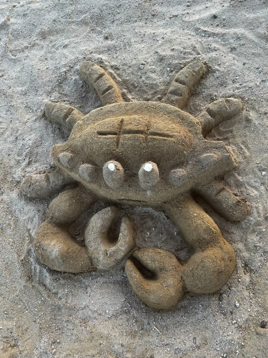 Sonstiges SUNRISE Anjum Resort Marsa Alam