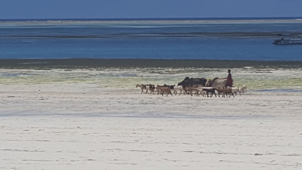 Strand Hotel Kiwengwa Beach Resort