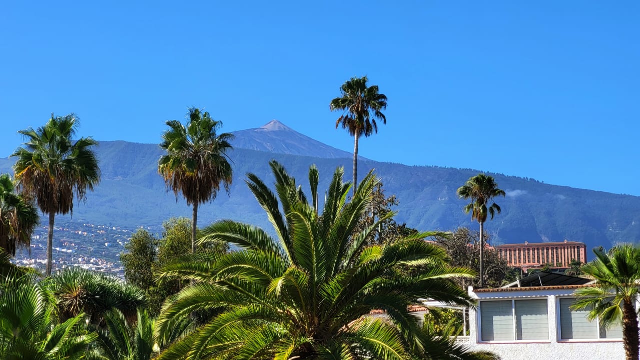 Ausblick Apartments Ambassador