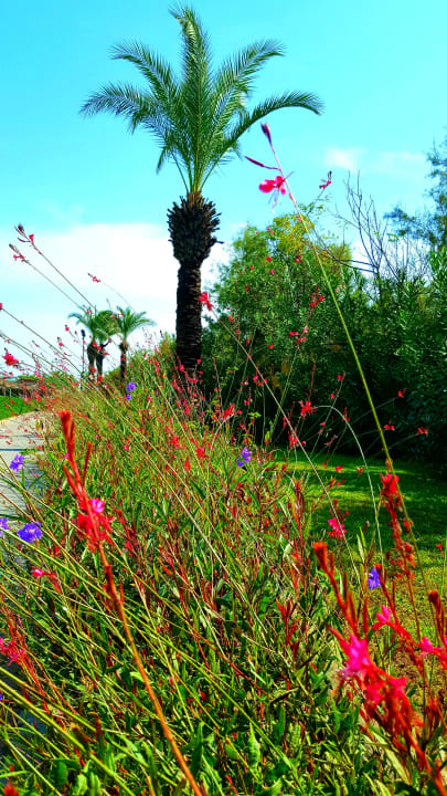 Garten Asteria Family Belek