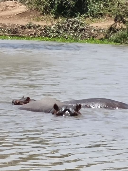 Sonstiges Bahari Beach Hotel