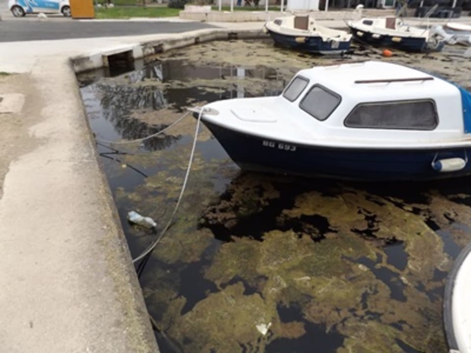 Außenansicht Hotel IN Biograd