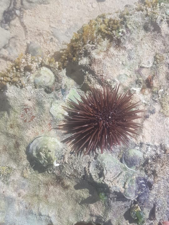 Strand Casa Mare Resort