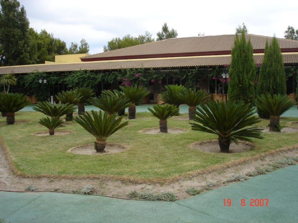 Gartenlandschaft Prinsotel La Dorada