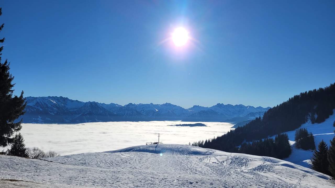 Ausblick Familotel Allgäuer Berghof