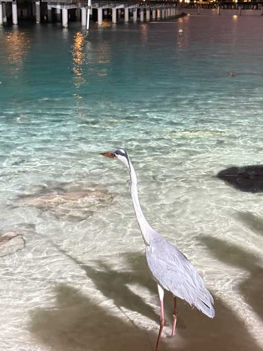 Strand Villa Park Sun Island