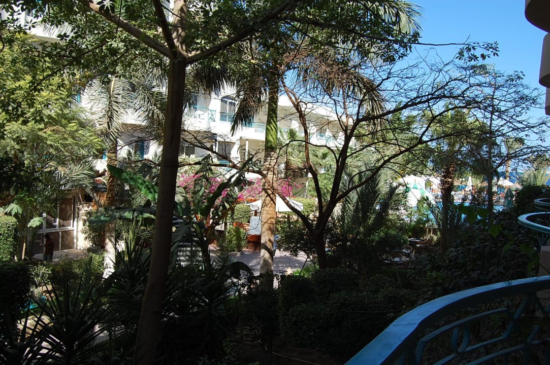 Widok od strony ogrodu Bella Vista Resort Hurghada