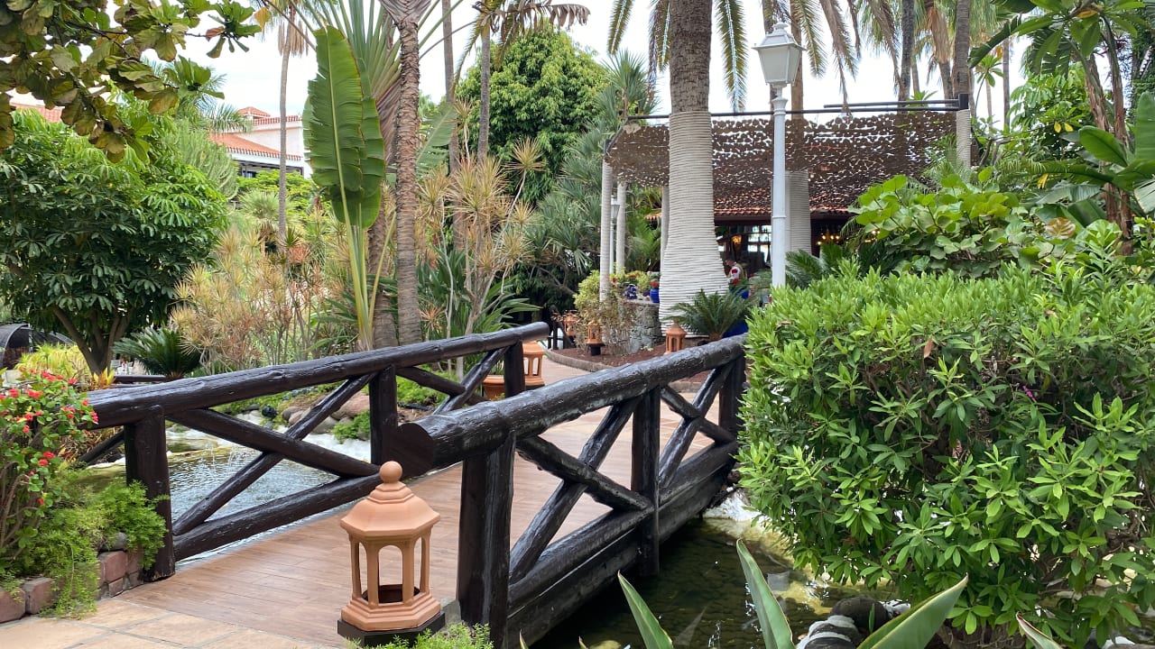 Gartenanlage Hotel Parque Tropical
