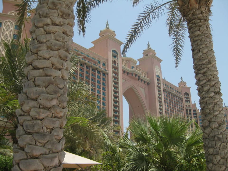 The Palm Atlantis, The Palm