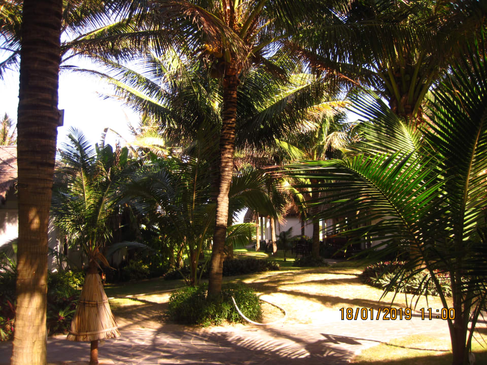 Gartenanlage Hotel Muine Bay Resort