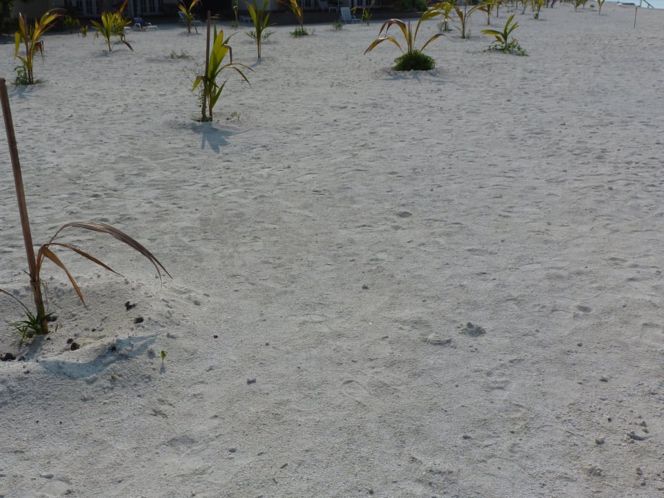 Das ist der scharfe korallige Boden an der Mauer Adaaran Select Meedhupparu Island Resort - Premium All Inclusive