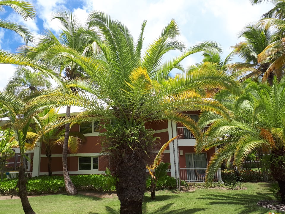 Gartenanlage Grand Palladium Select Bávaro Resort & Spa