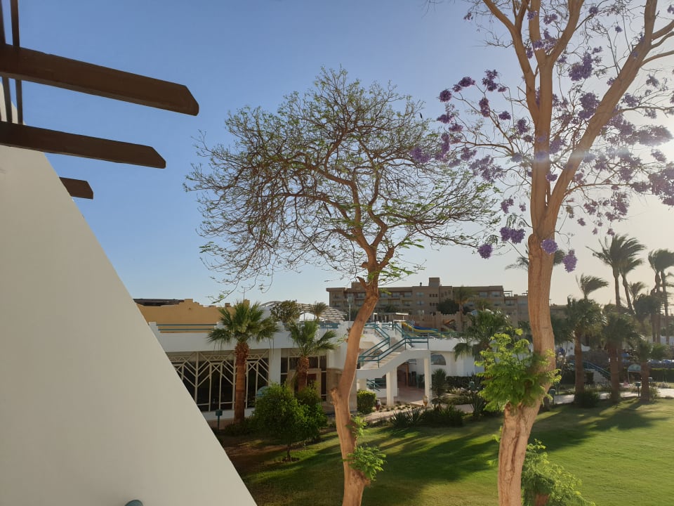 Gartenanlage Shams Safaga Resort