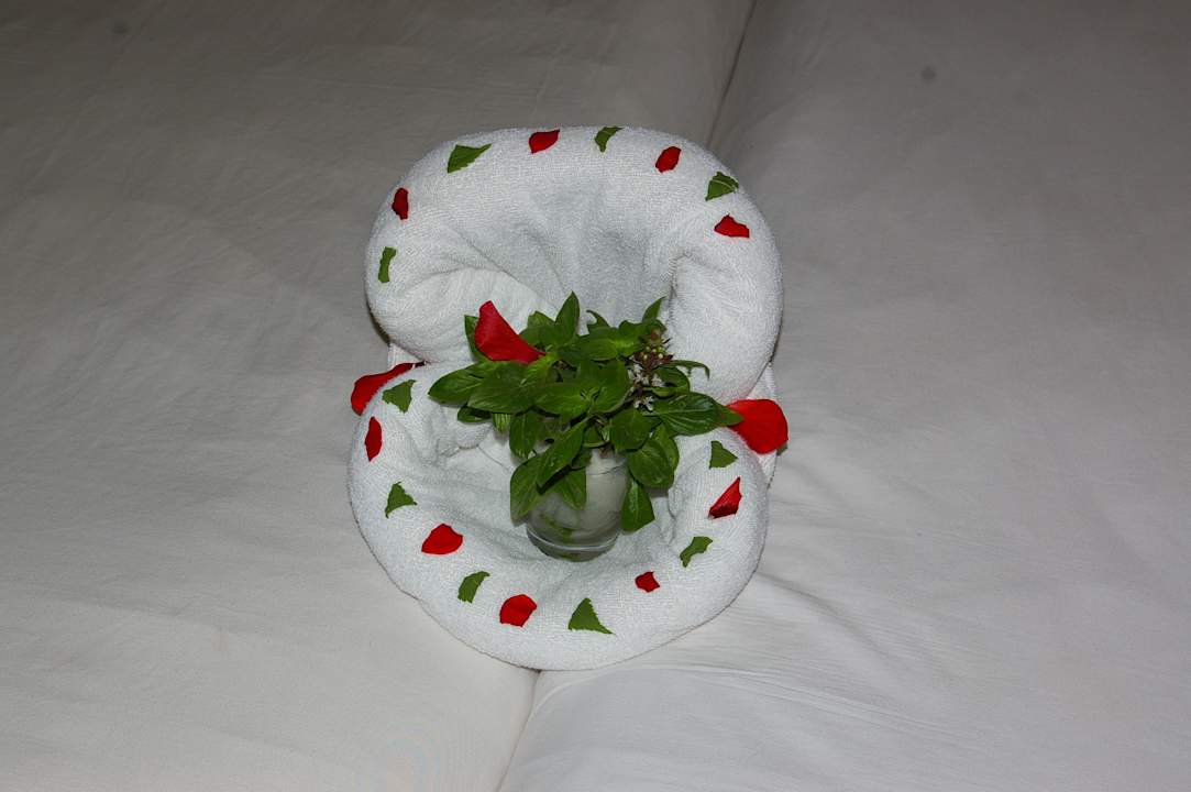 Dankeschön von dem Zimmerboy Ghazala Gardens