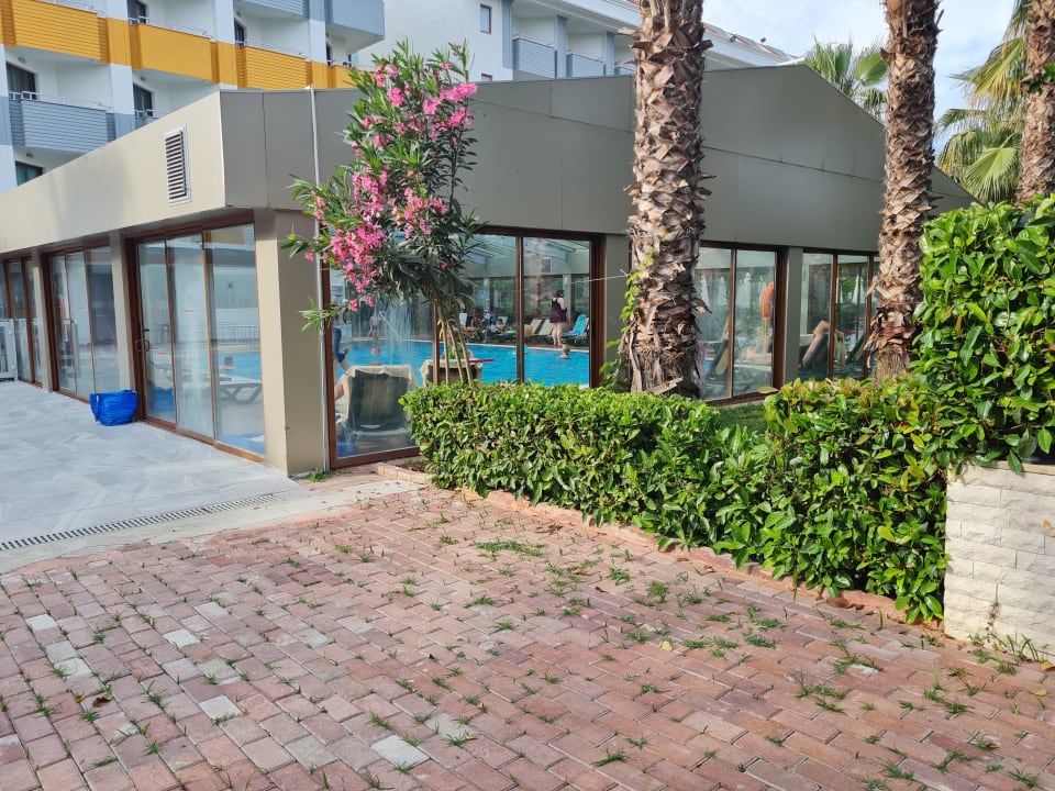 Pool Hane Family Resort