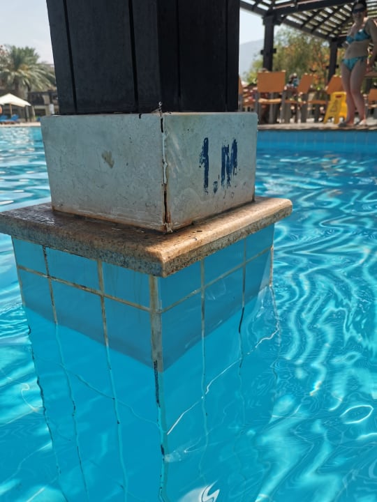 Pool Miramar Al Aqah Beach Resort