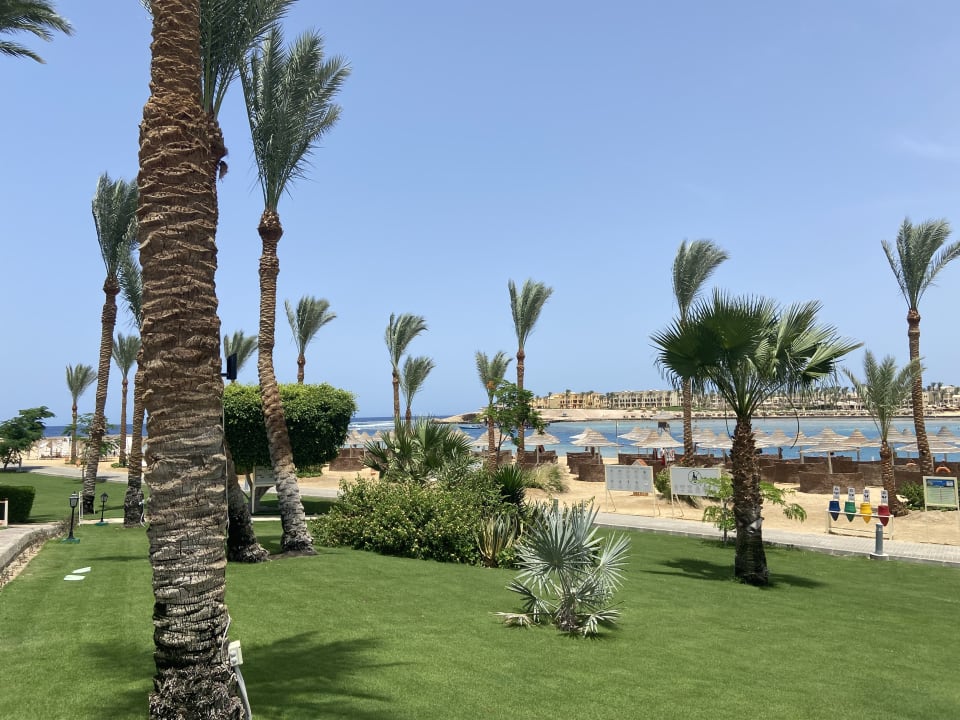 Gartenanlage Steigenberger Coraya Beach - Adults only