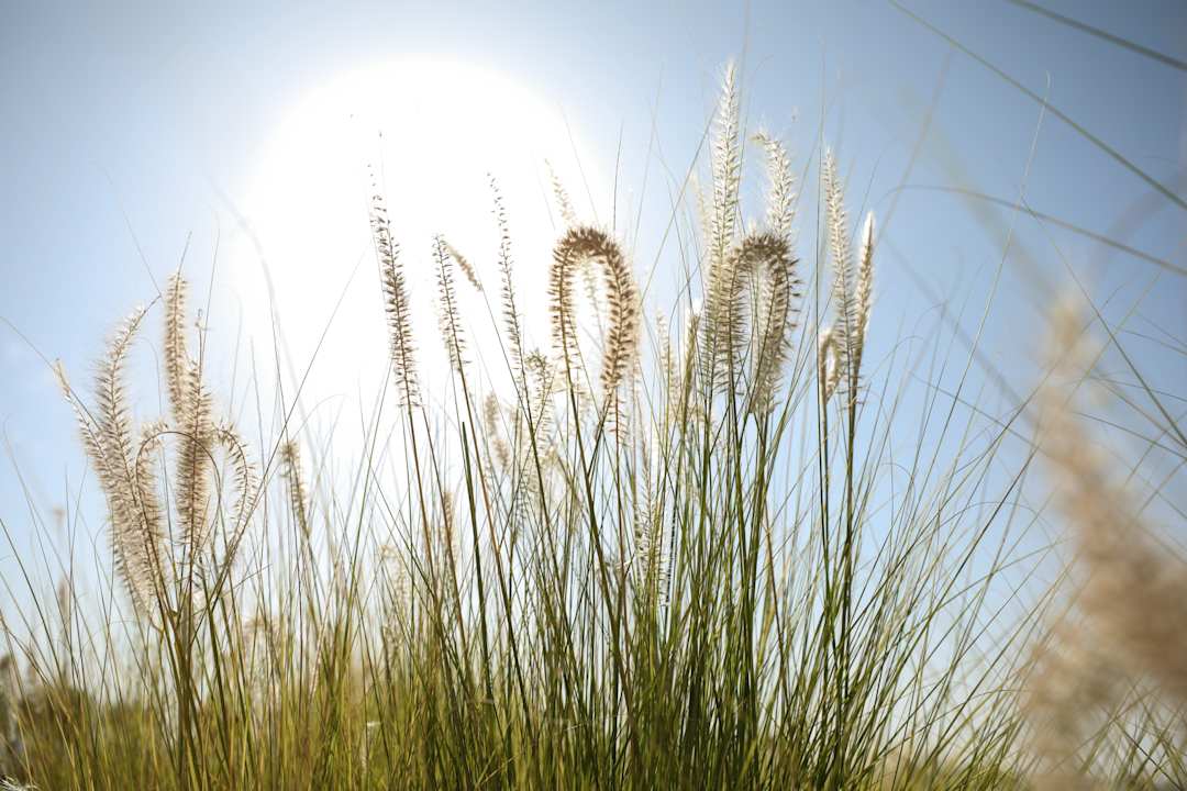 Ausblick MGM Wellness Retreat