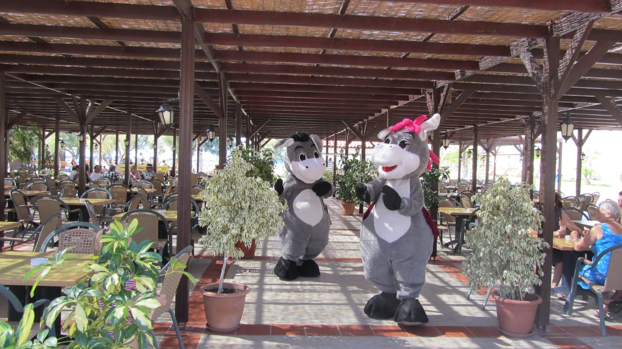 Die beiden Maskottchen des Hotels Lindos Princess Beach Resort & Spa