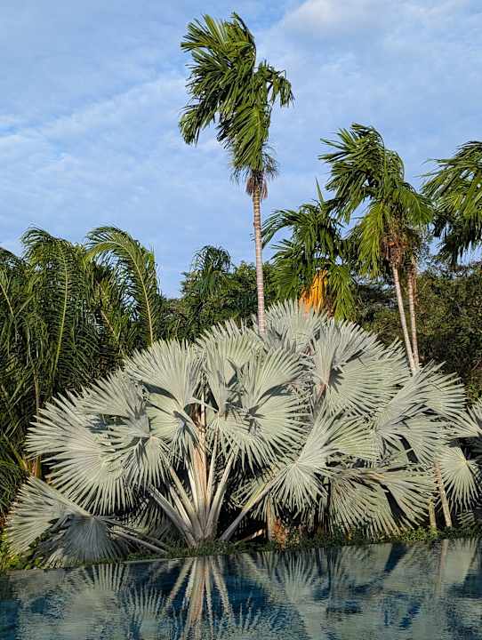 Pool Lahana Resort Phu Quoc