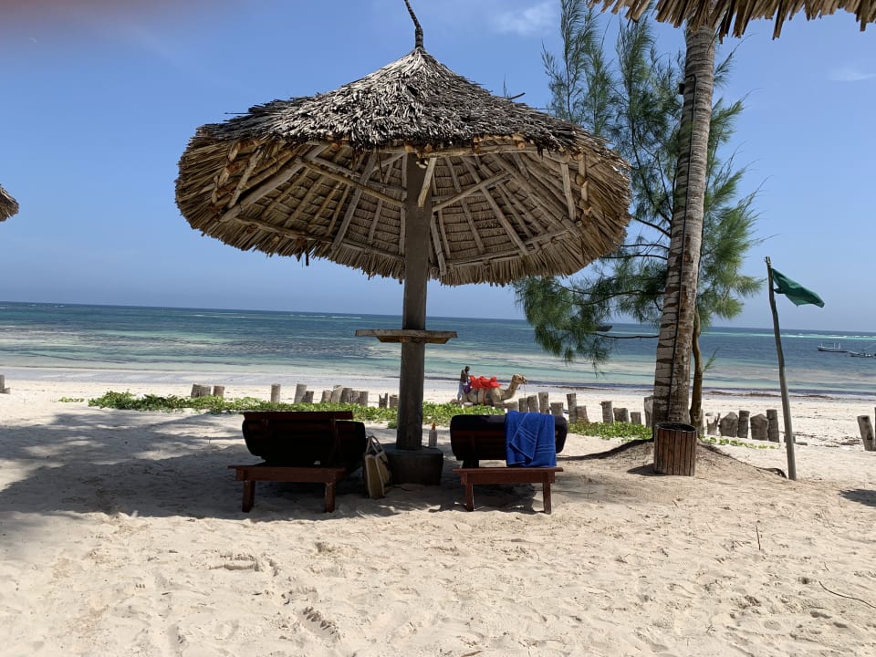 Strand Turtle Bay Beach Club